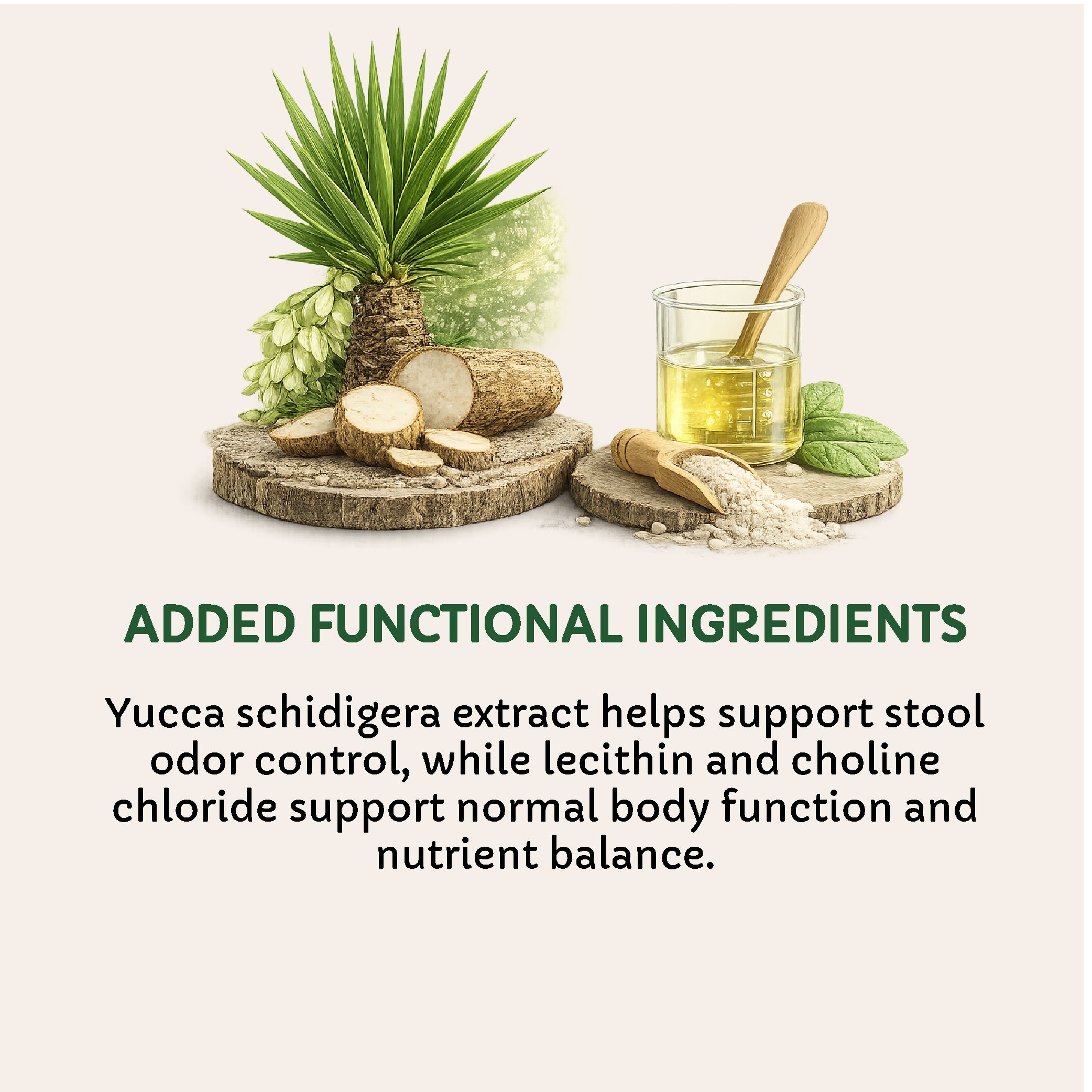 Ingredients-08.jpg