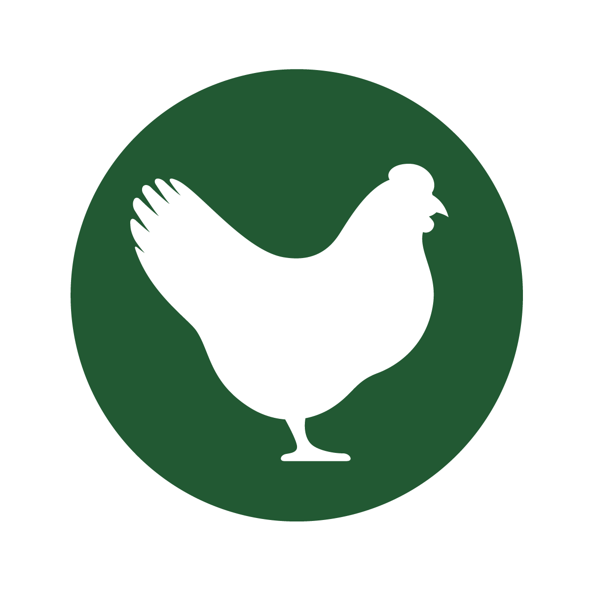 Chicken Icon