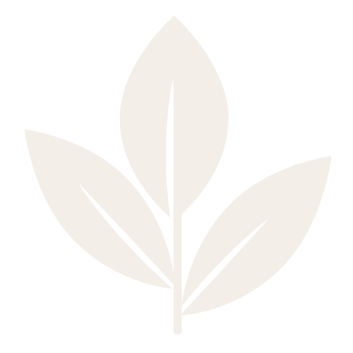 CV Naturals Icon of Leaf
