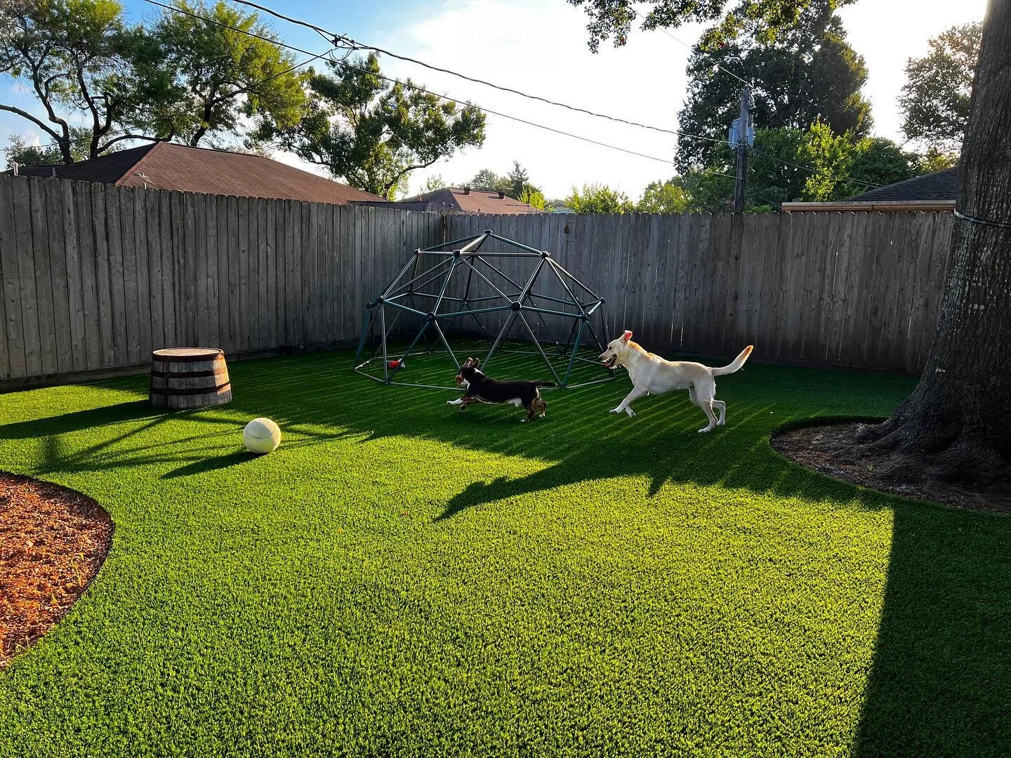 Bayou City Pet Sitting
