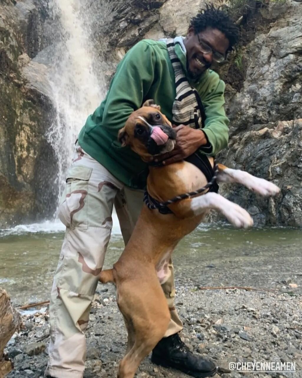 These guys are everything to me. ❤💋❤️&zwj;🔥

Great capture by @movementfrommaura 

#dubatheboxer #lovemylove #boxerloversforlife