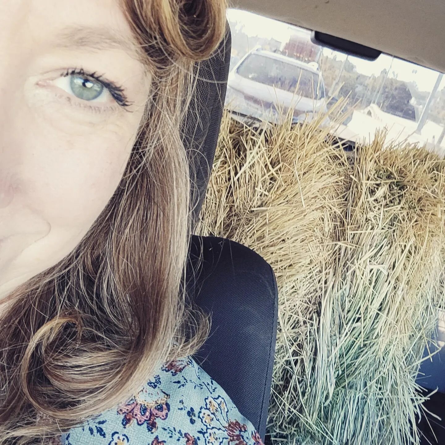 When you're driving to work dreaming about the garden you want to plant this weekend and wondering where you're gonna get some hay in Los Angeles. 

I saw a sign from the 🦄 Unicorns this morning 🌄 and knew something was coming. Never would have gue
