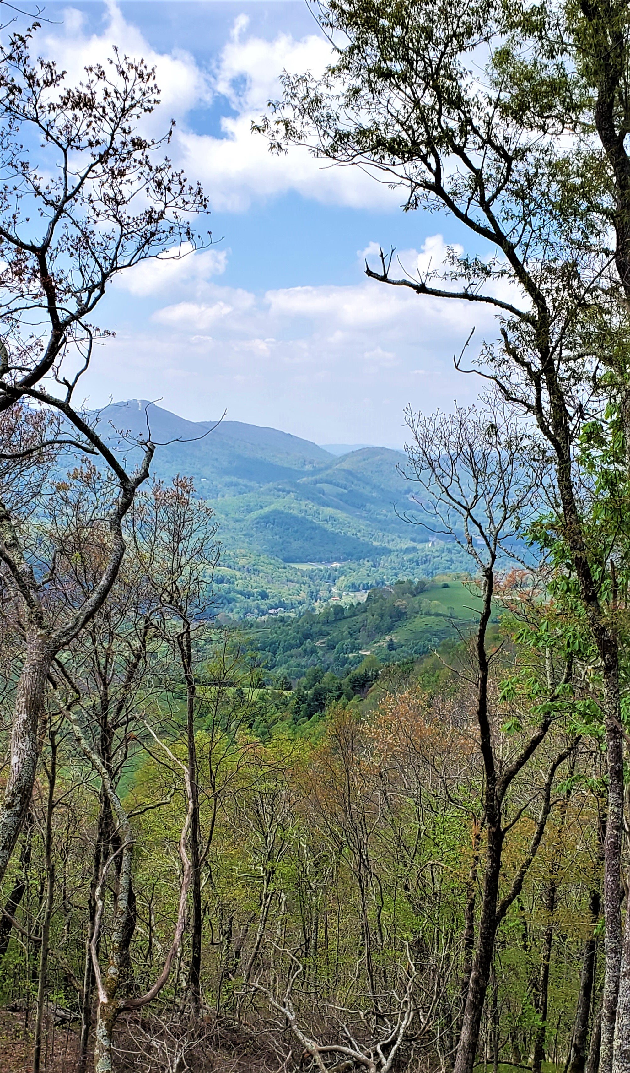 SITE 5