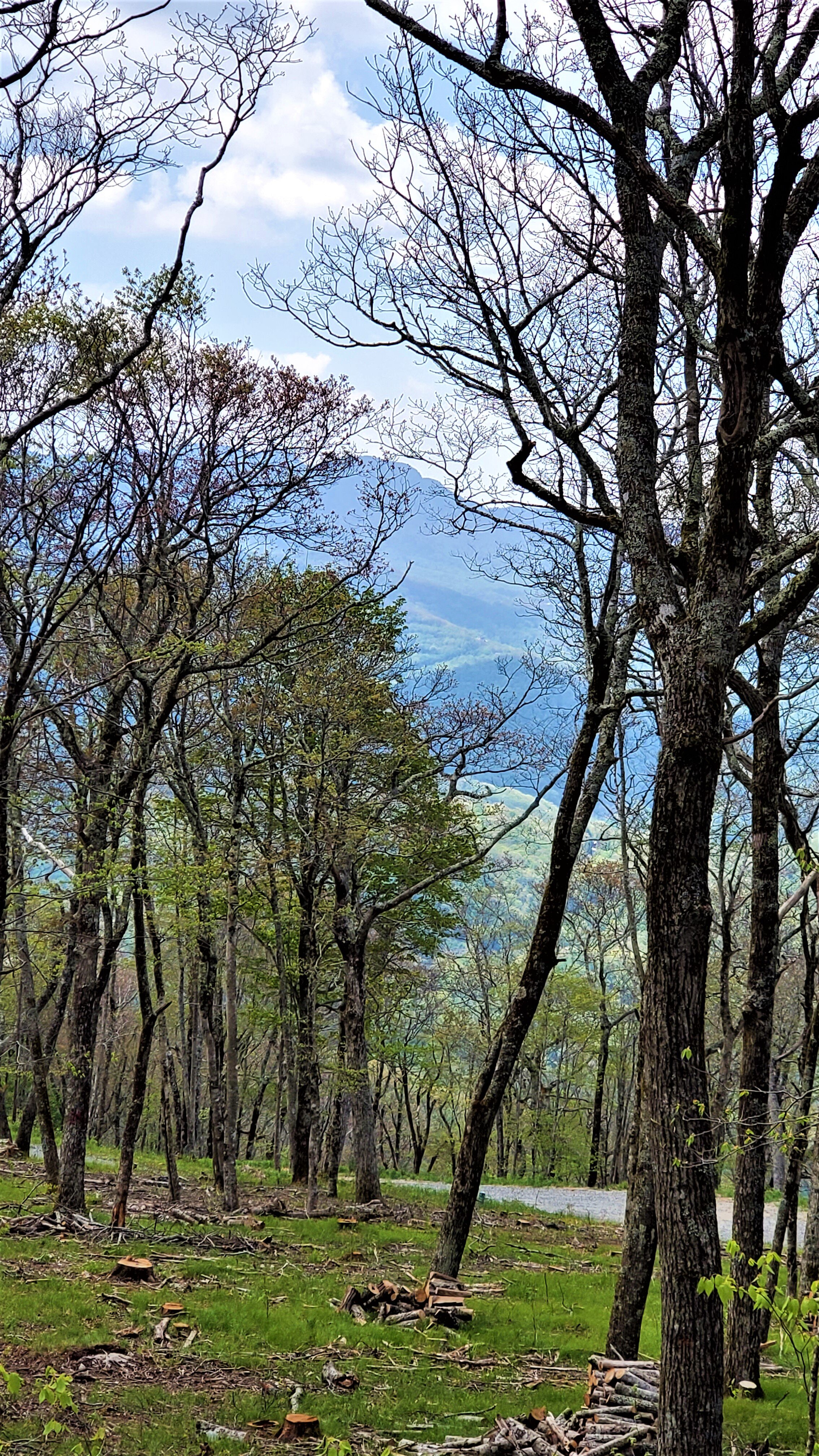 SITE 9