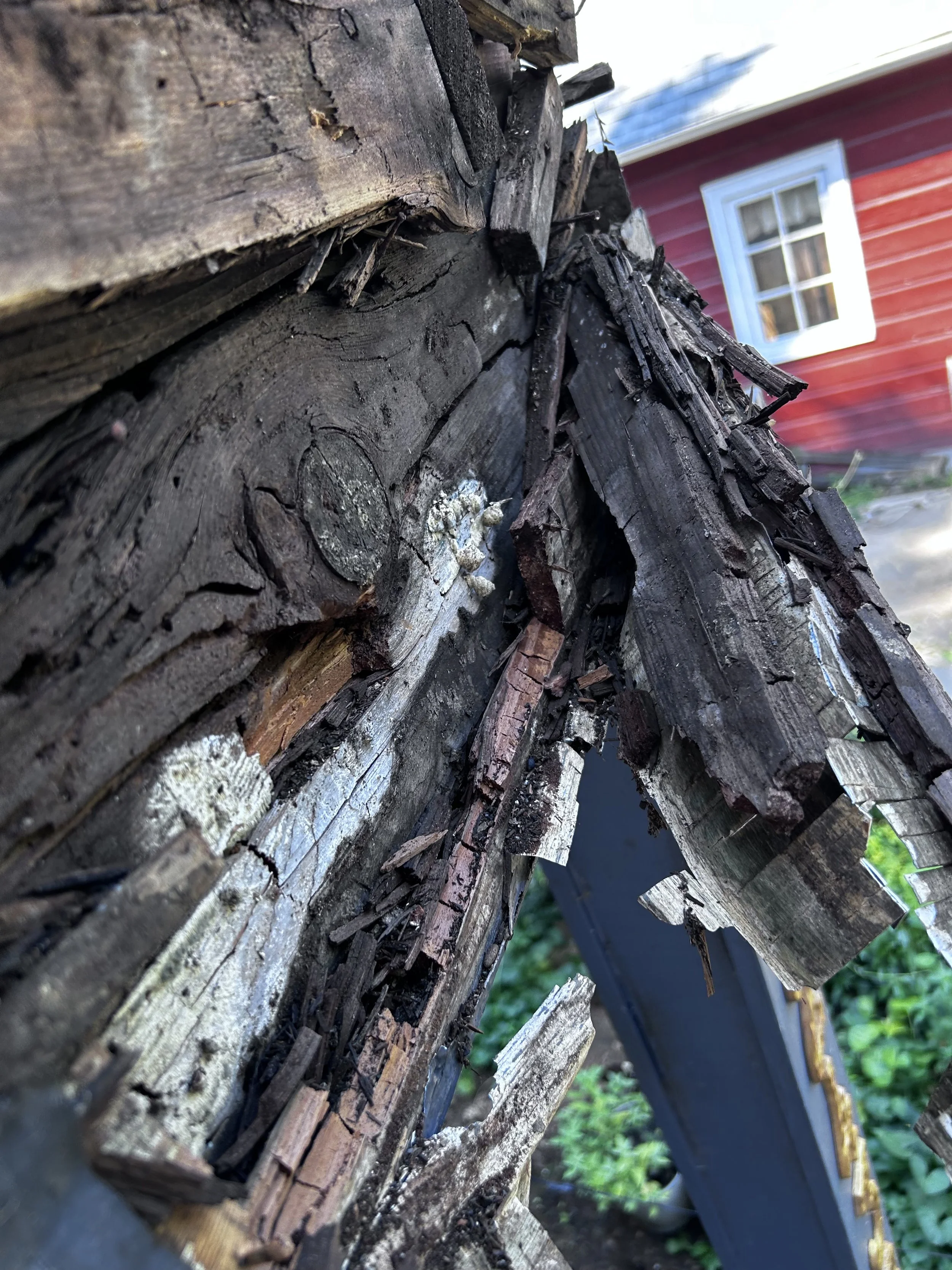 Lots of wood rot