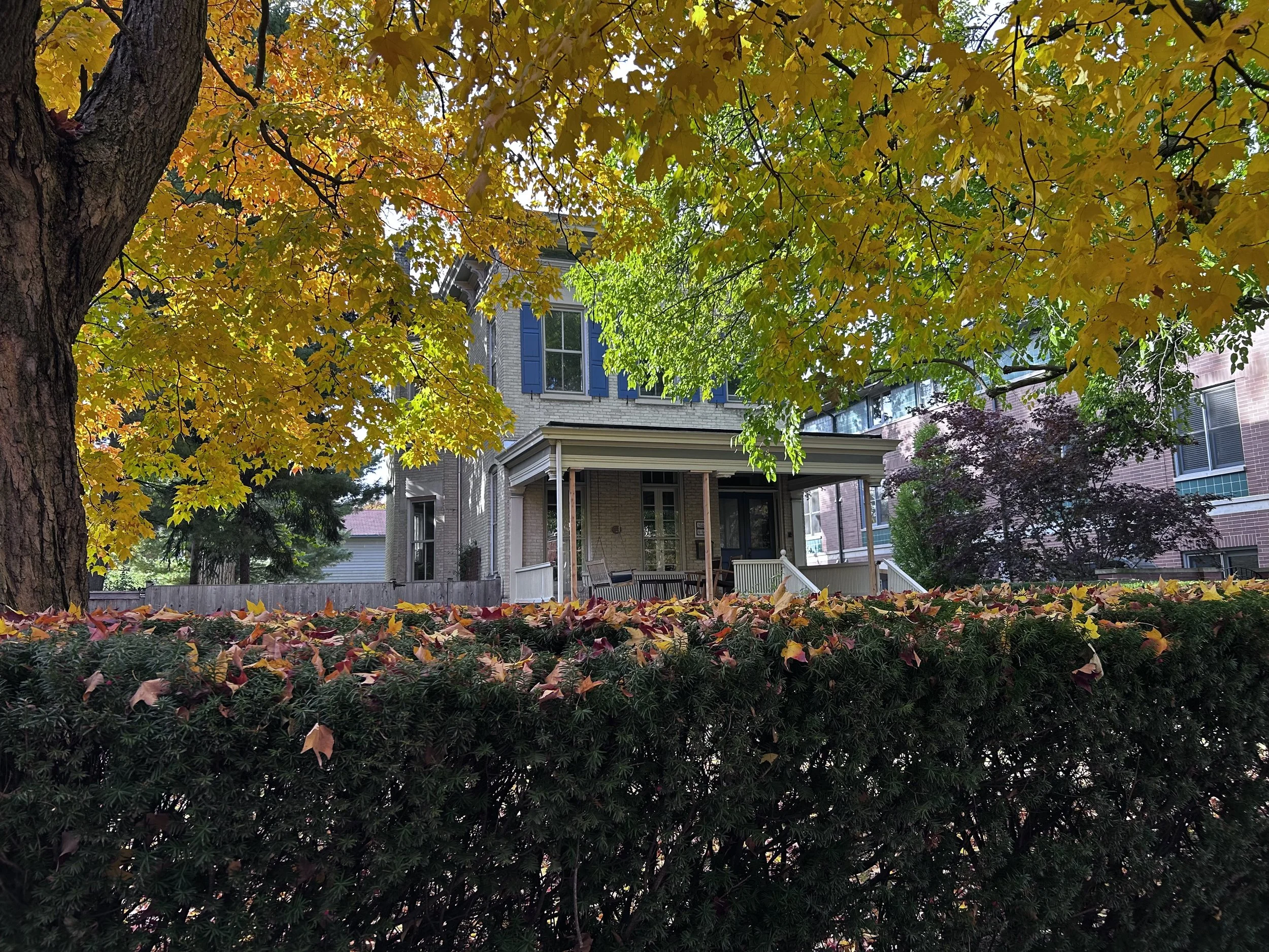 Porch roof supported while the columns get repaired