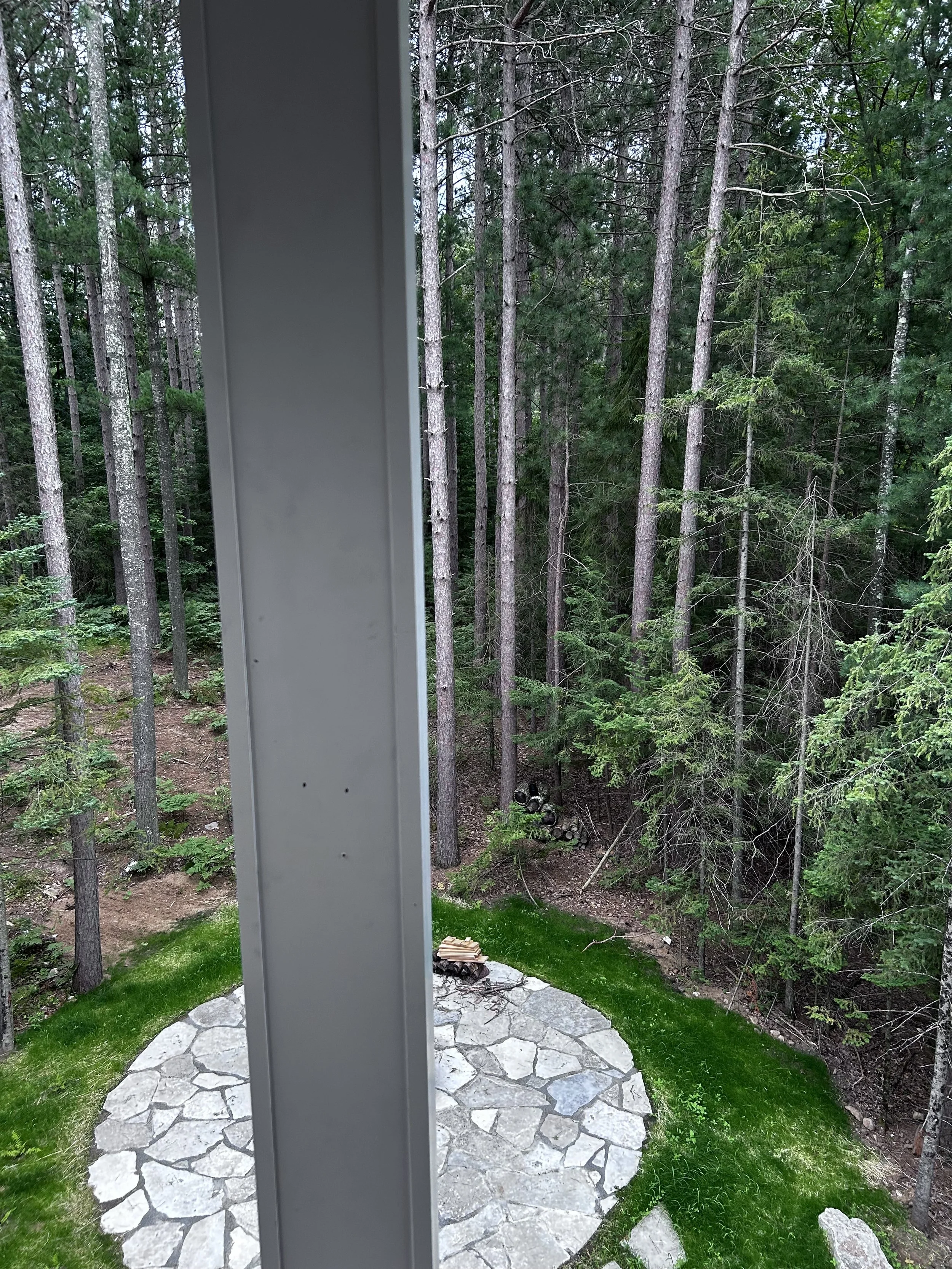 Wrapped column mimics the trees