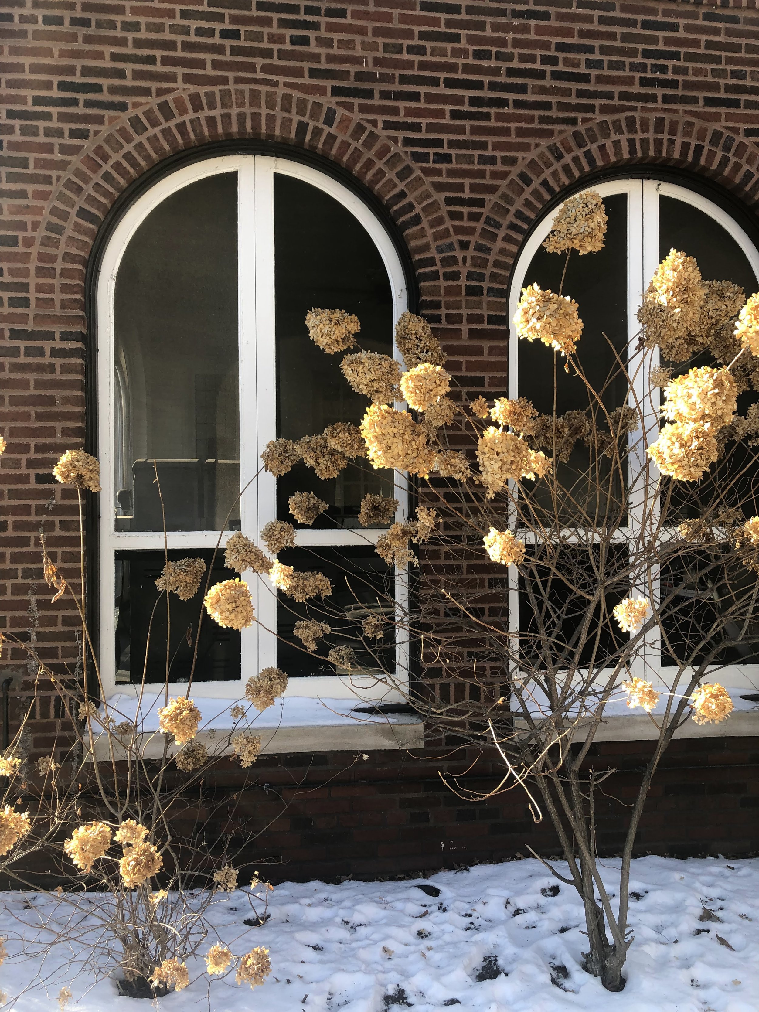 Original window units.