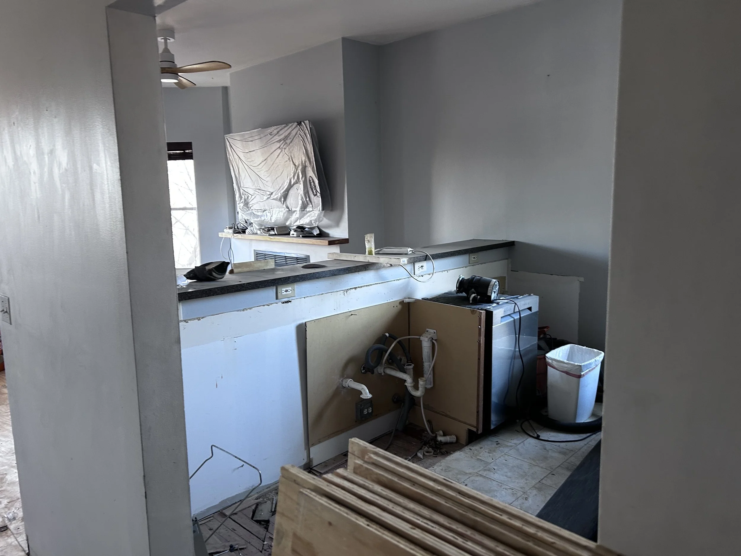 Prepped for installing the new kitchen subfloor