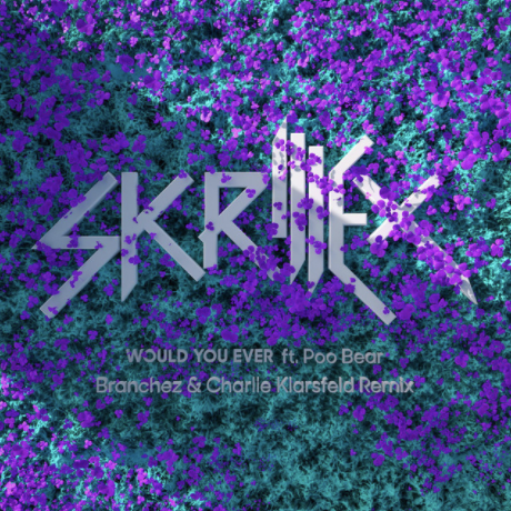 Would You Ever (Branchez & Charlie Klarsfeld Remix) - Skrillex, Poo Bear