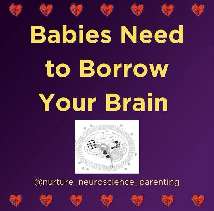 Many people say that babies need to learn to self soothe - meaning learn to go from a state of high stress to low stress alone. 

They say we need to leave babies alone to cry so they have practice self soothing. That this is needed and requires for 