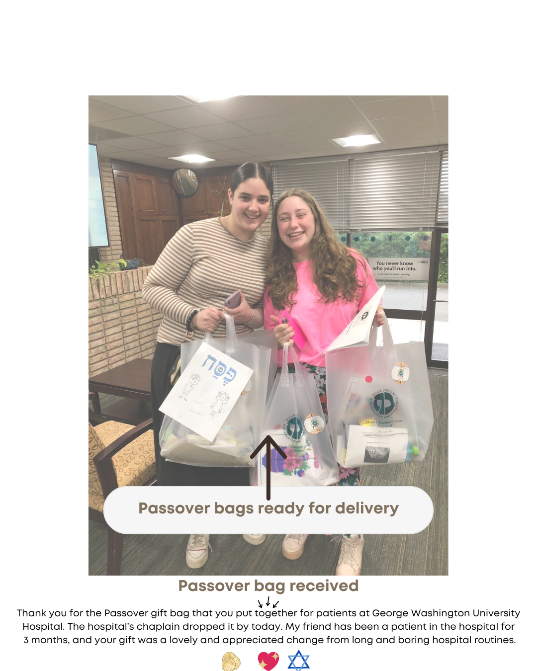 Passover Bags received!
