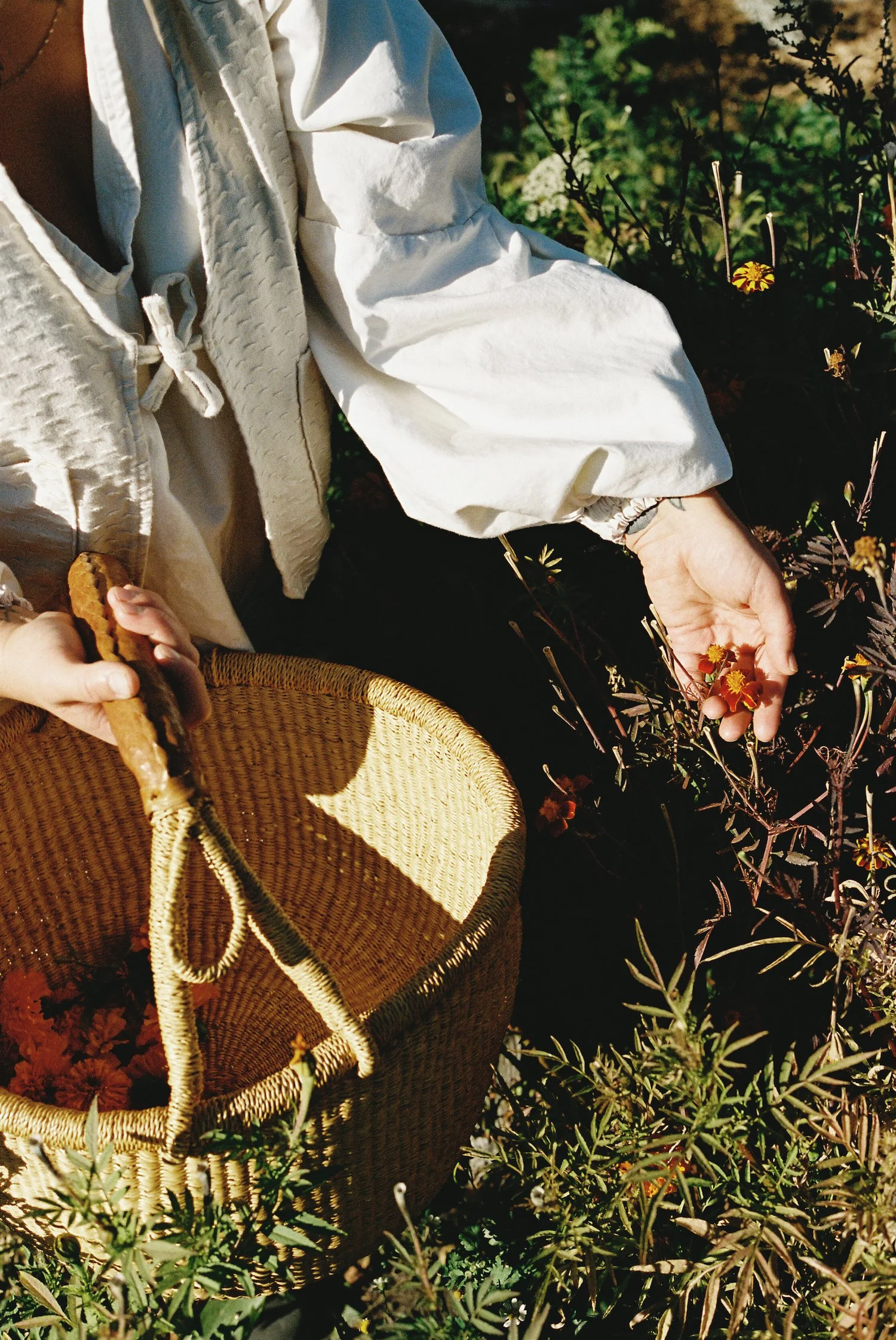 08-FOLKLIFE-Britt-2025(enb).jpg