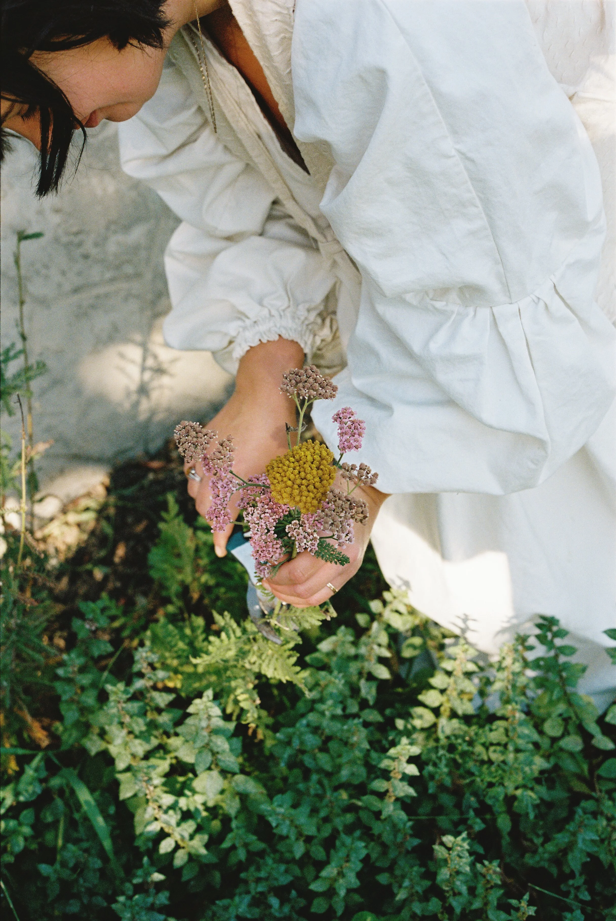 22-FOLKLIFE-Britt-2025(enb).jpg