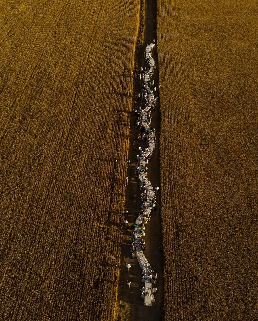 Unexpected dinner locations.
Decor &amp; Concept @kraaktafel
Photography @danielazondagh @annikaduermeier
#TheFallBride