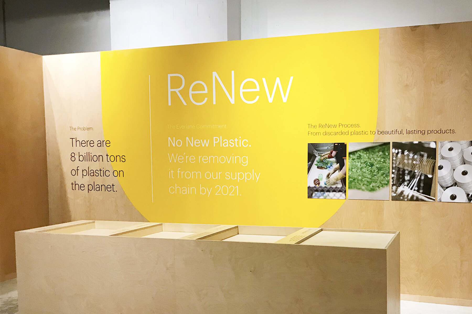 Everlane - Yellow - Insta.jpg