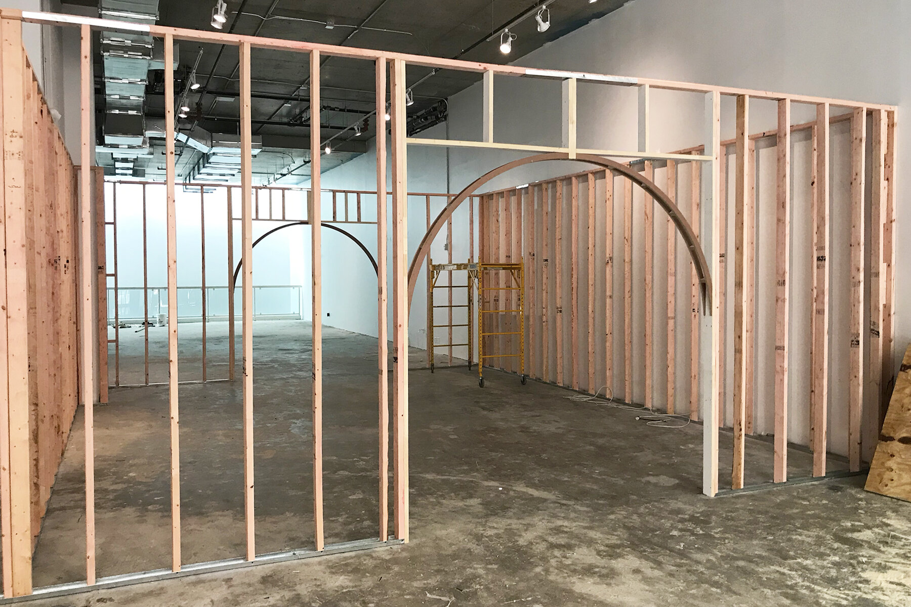 Everlane - Frame - Insta.jpg