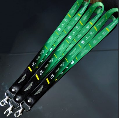 Aston Martin Lanyard Keyring