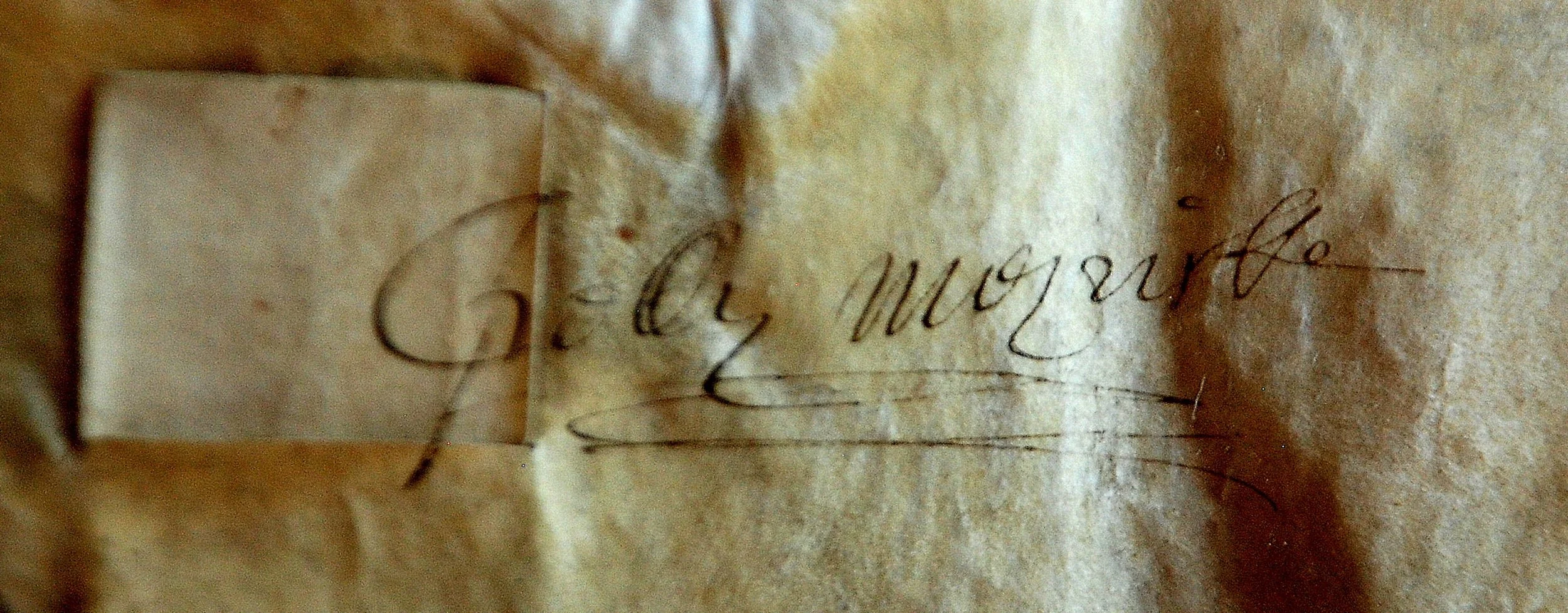 Meyrick3.jpg