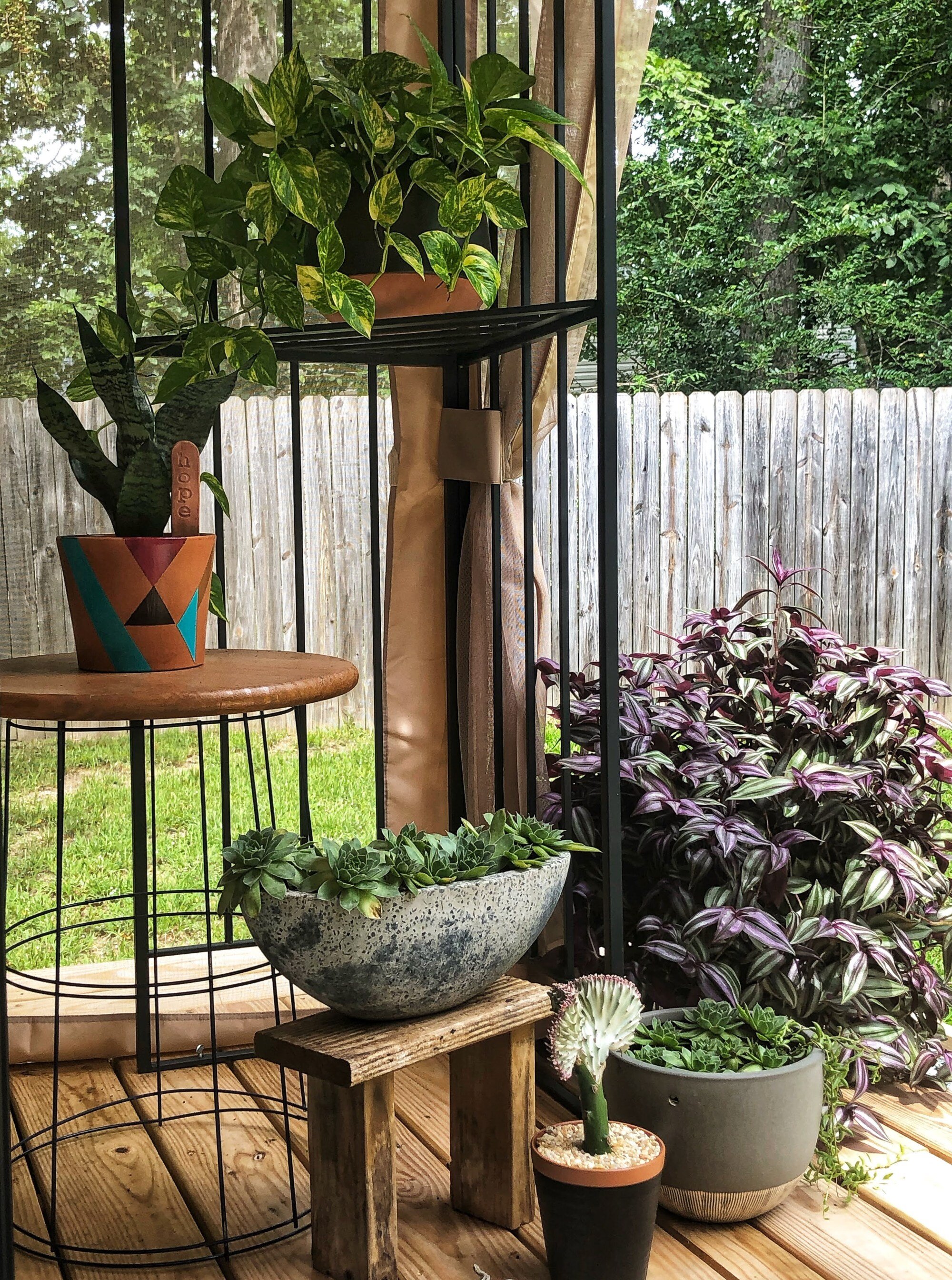alyssa-kelley-interior-design-home-organization-decluttering-5-reasons-to-love-house-plants-2.jpeg