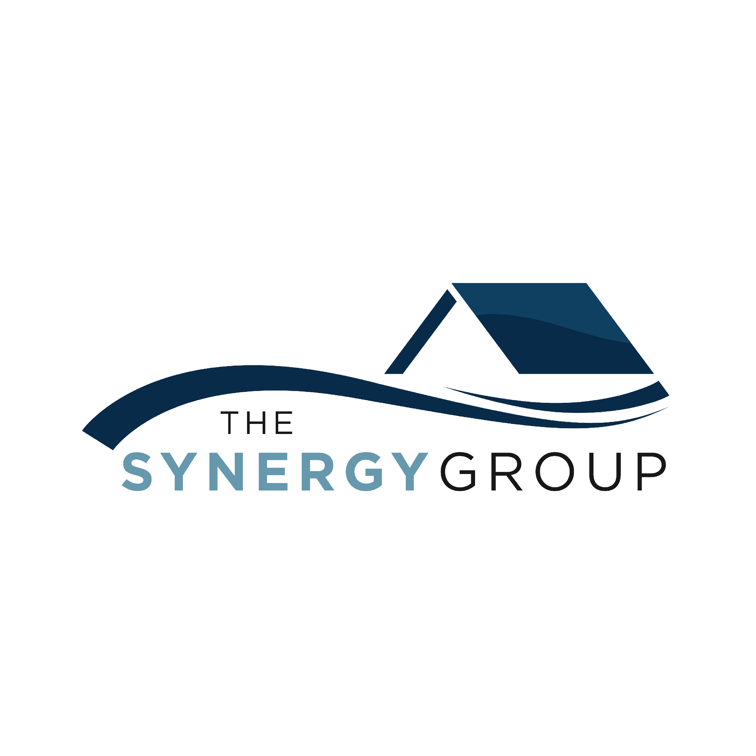 The Synergy Group