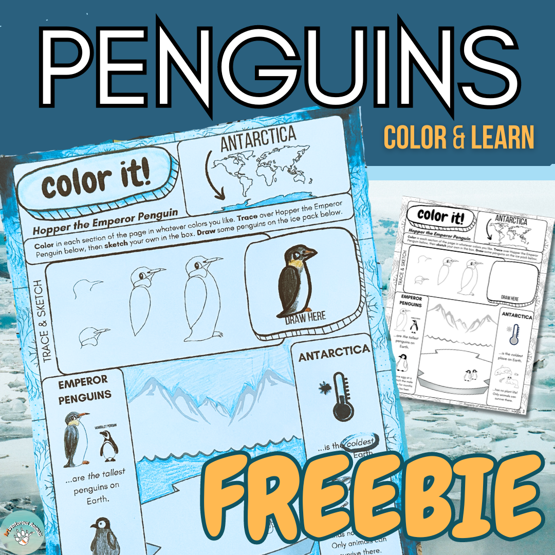 Antarctica Color & Learn Cover.png
