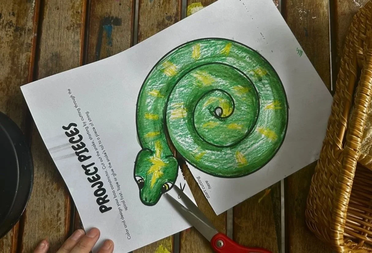 Spinning Snake Science Activity