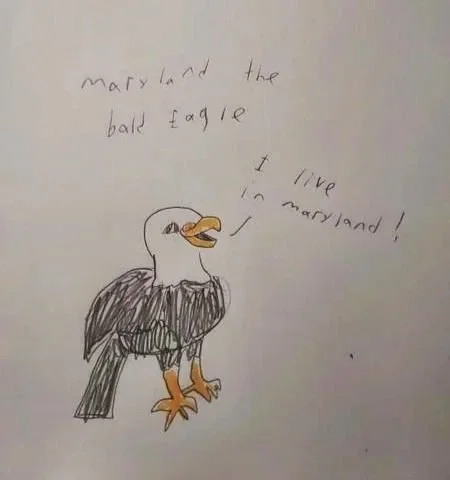 bald+eagle+Eytan+student+work.jpg (Copy) (Copy)