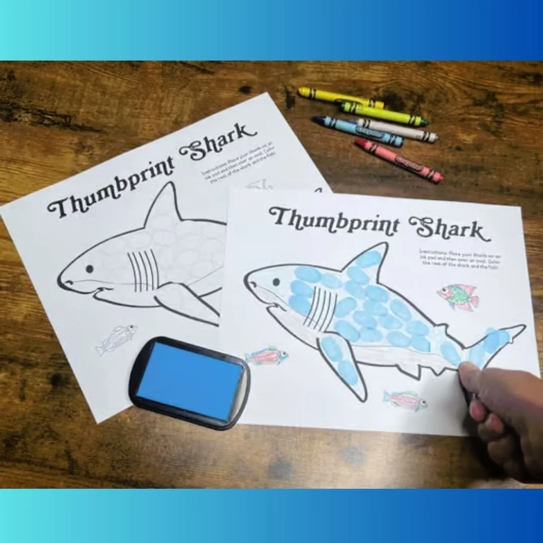 shark art activity