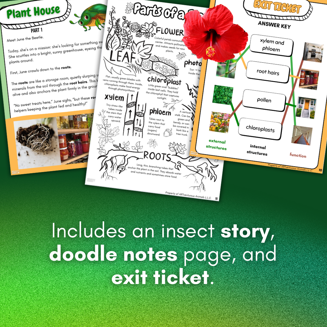 Thumbnail (2).png