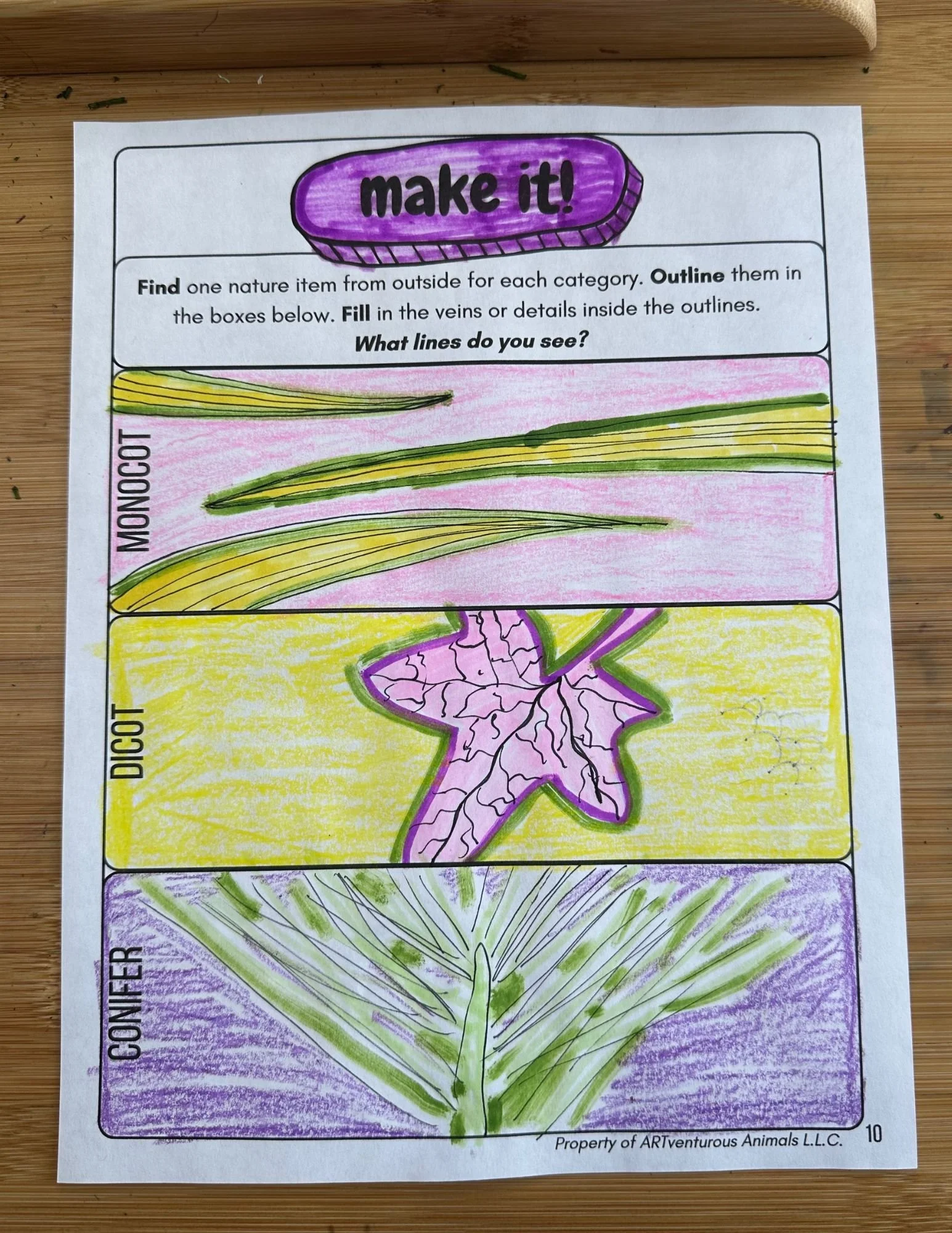 Plant Science Art Journal