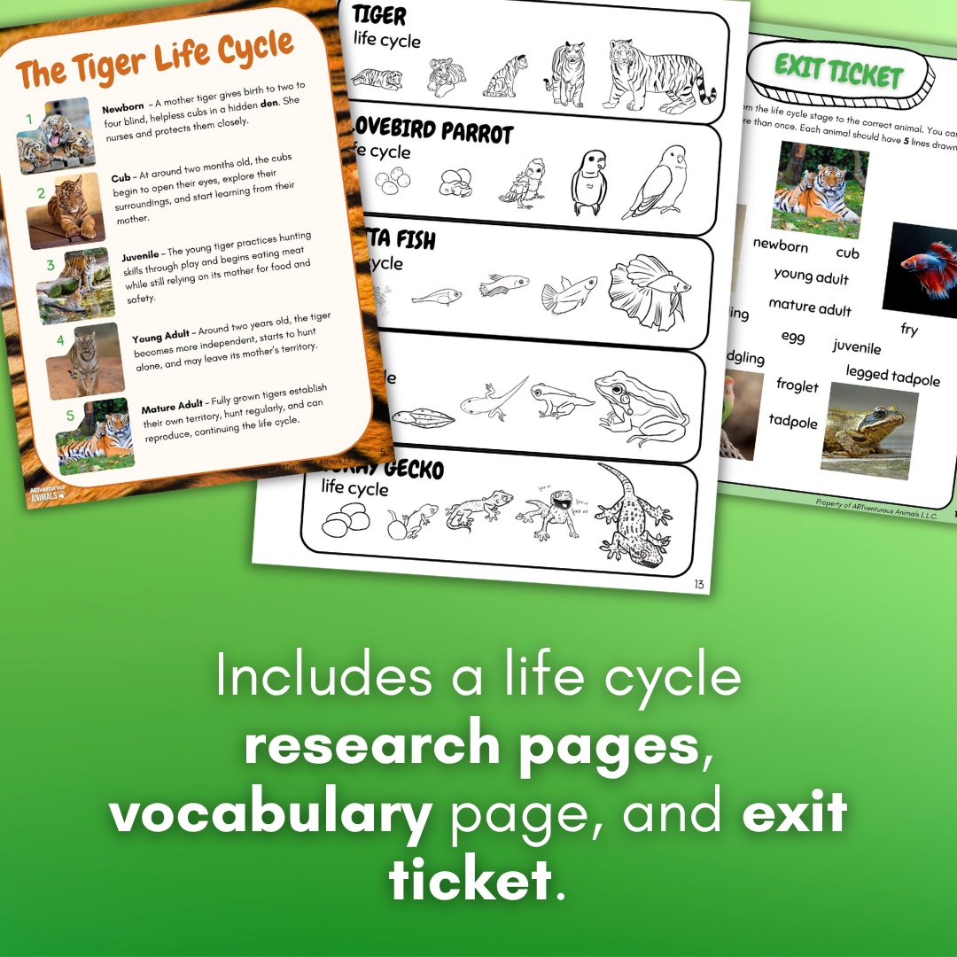 Thumbnail (2).png