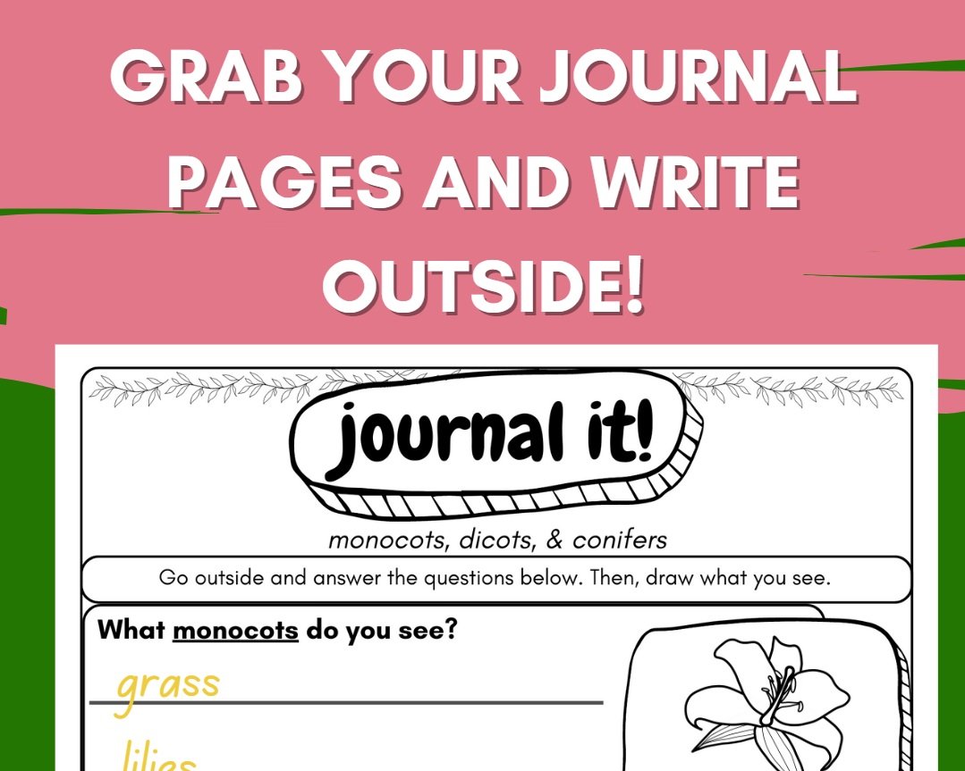 A colorful outdoor activity sheet titled "Grab Your Journal Pages and Write Outside!" with a section for observing nature, including a drawing of a lily flower, and prompting children to answer questions about what they see outside.