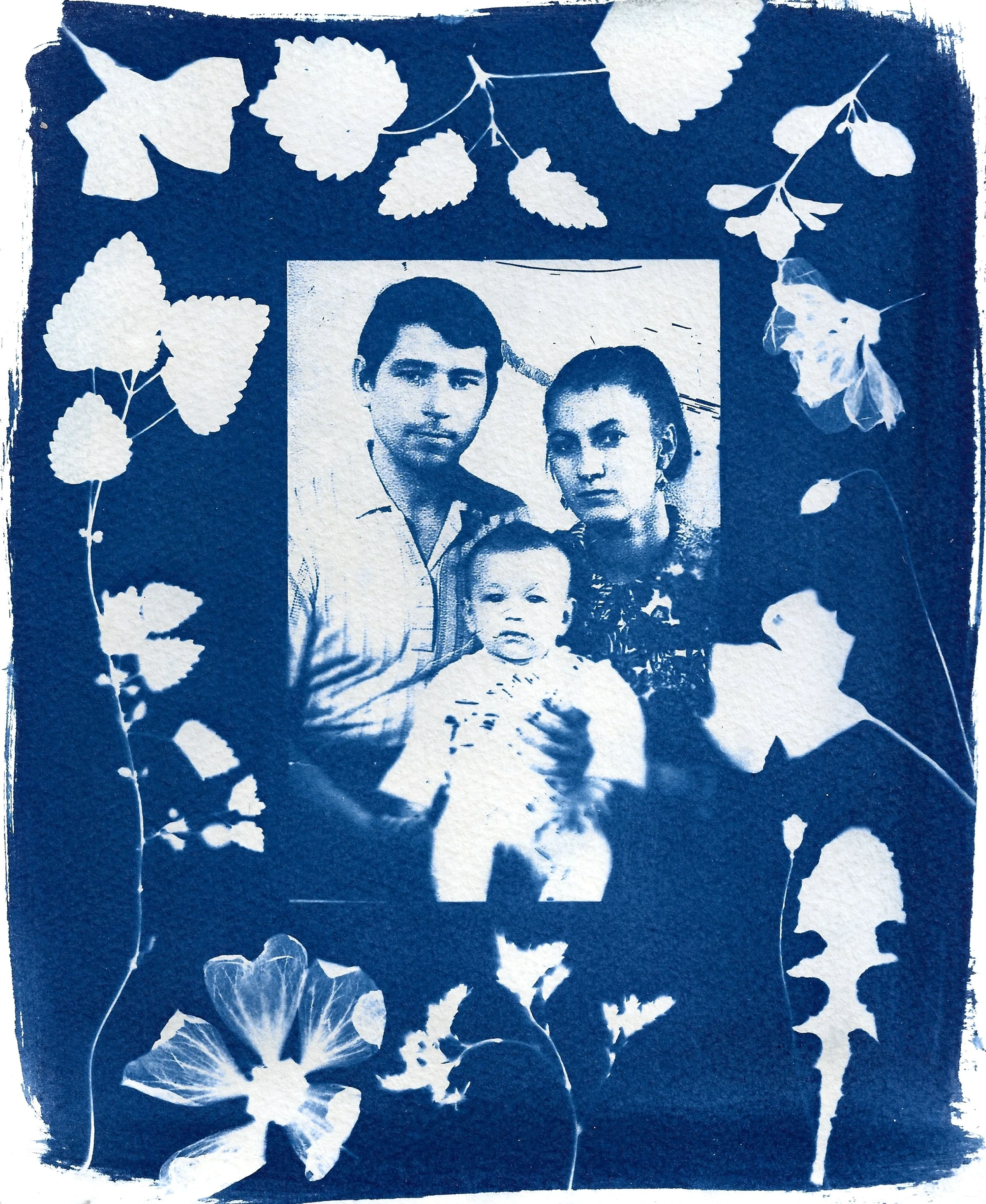 Naomi-Boiko-cyanotype- .jpg