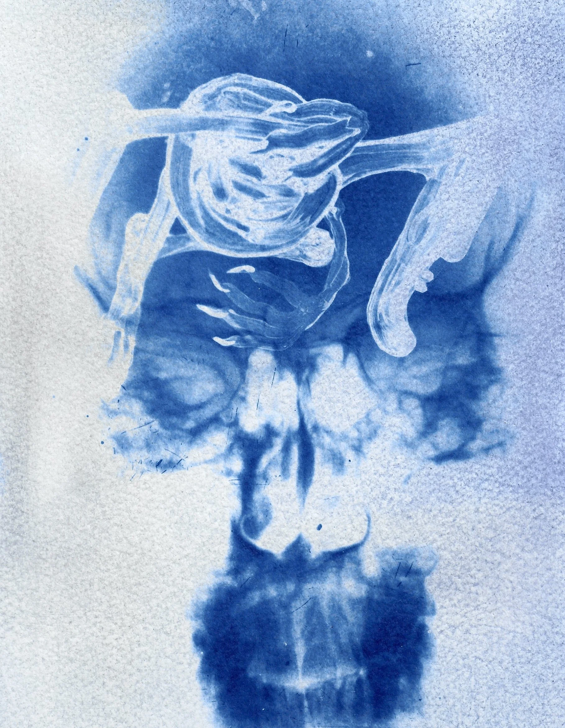 Naomi-Boiko-Cyanotype-05.jpg