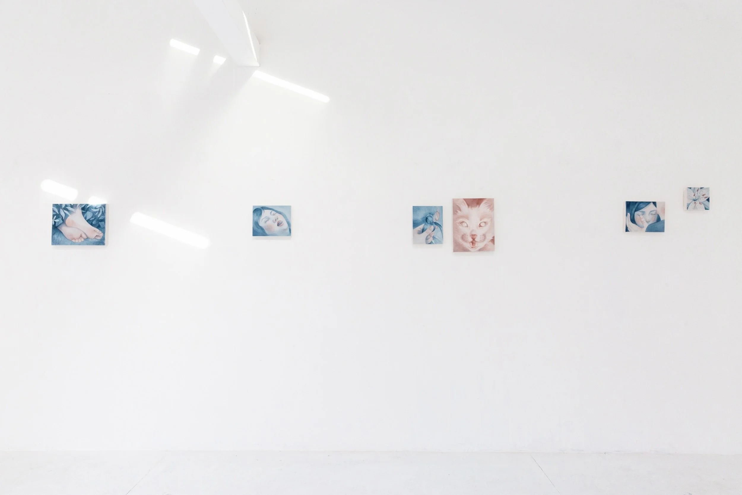 Gallery wall displaying small square paintings featuring various artworks including a face, a lion, a woman with a blue scarf, and floral patterns arranged in a horizontal line on a white wall.