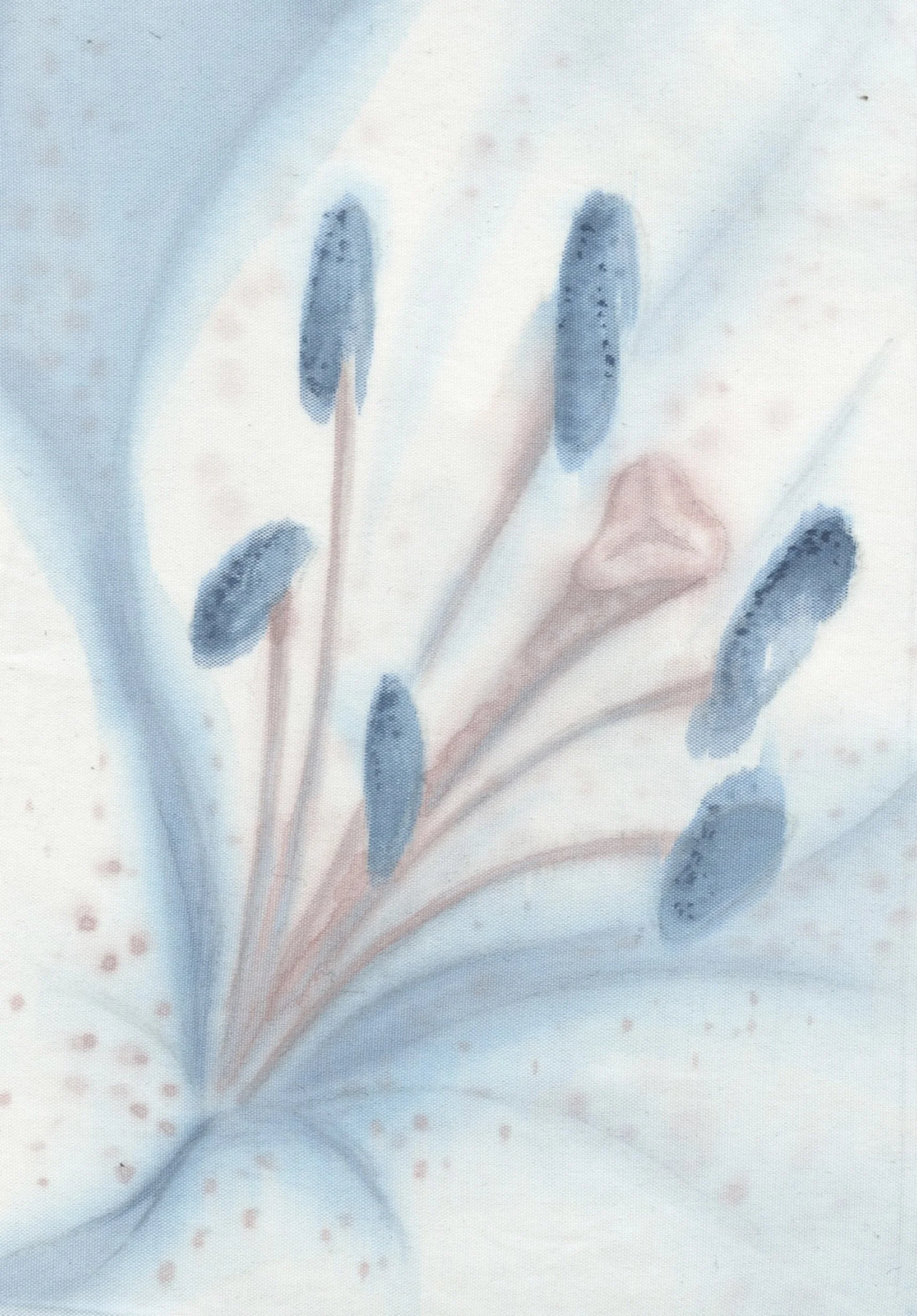 'Lilith' Watercolour on cotton, 14.8 cm x 10.5cm