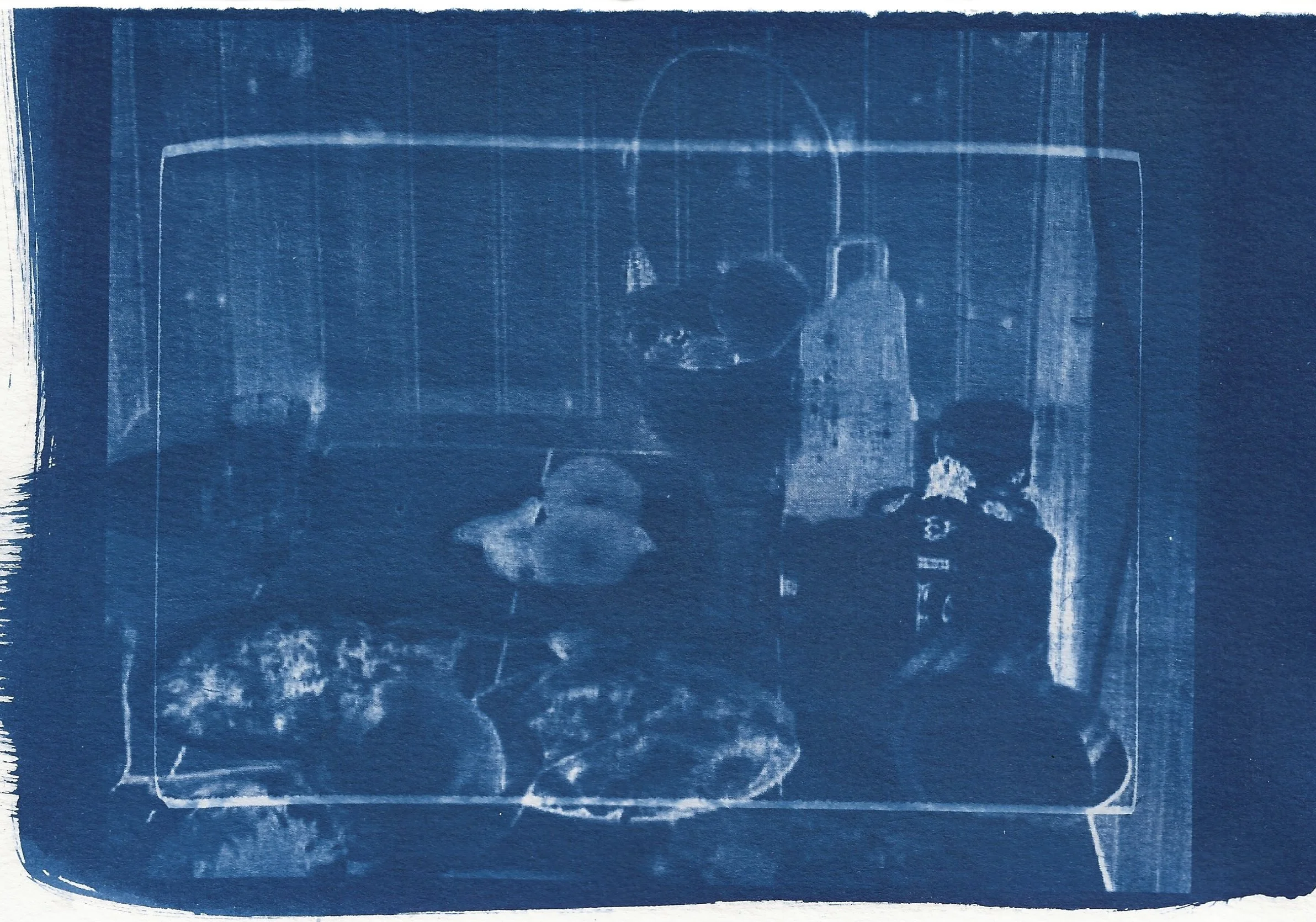 naomi-boiko-stapleton-cyanotype 6.jpg