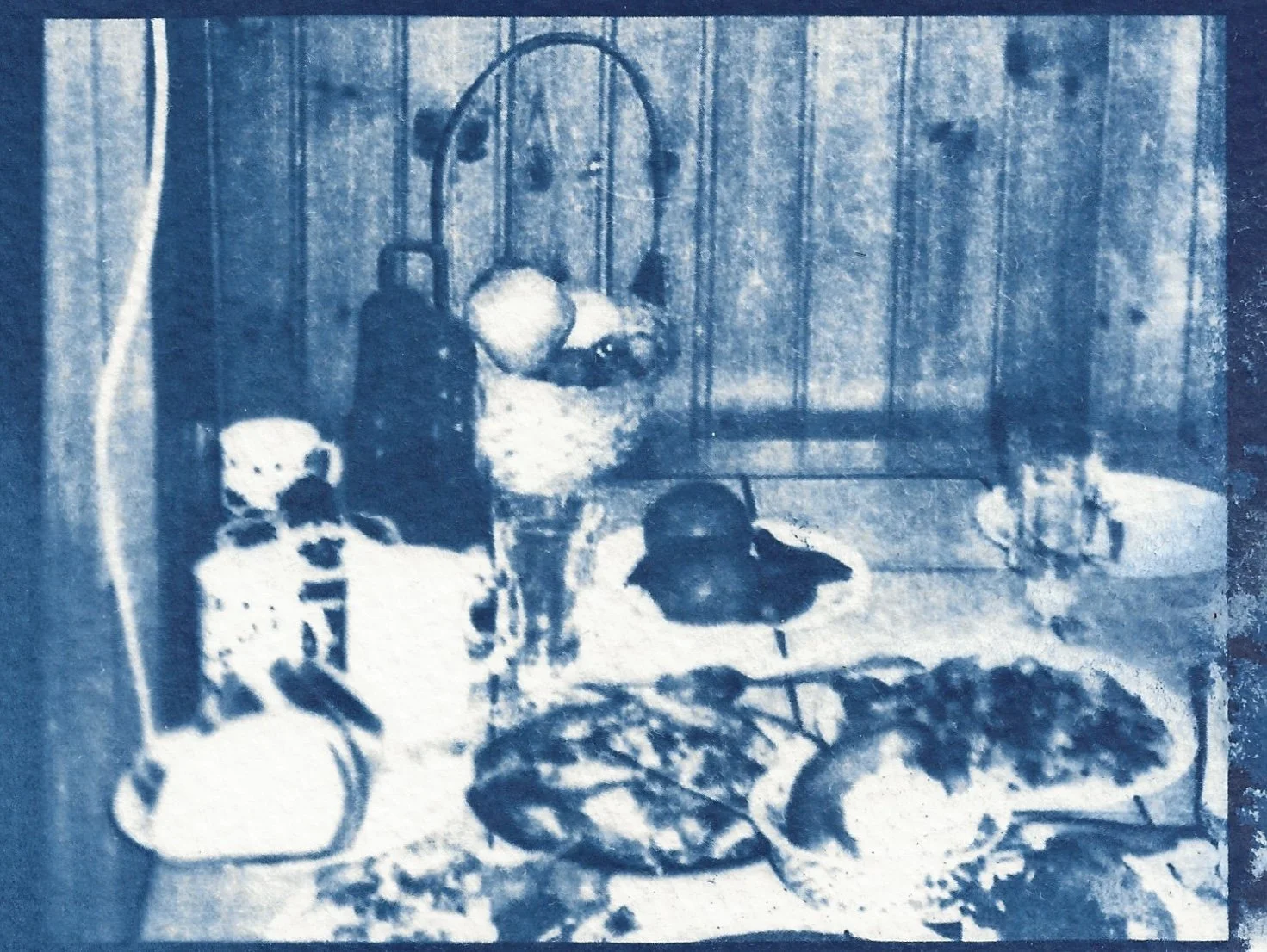 naomi-boiko-stapleton-cyanotype3.jpg