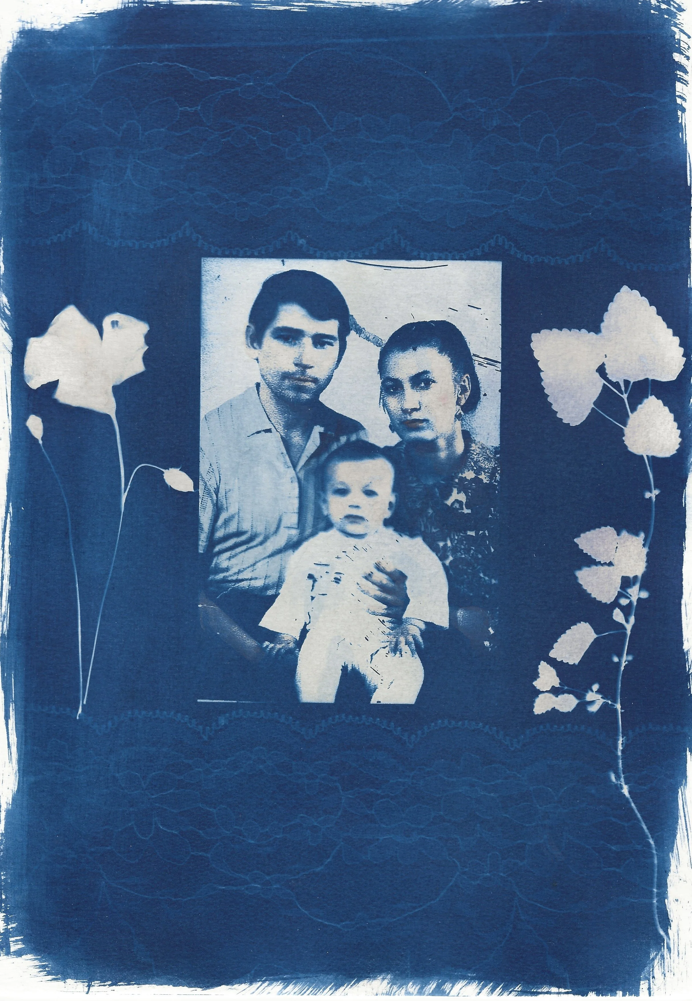 naomi-boiko-stapleton-cyanotype 2.jpg