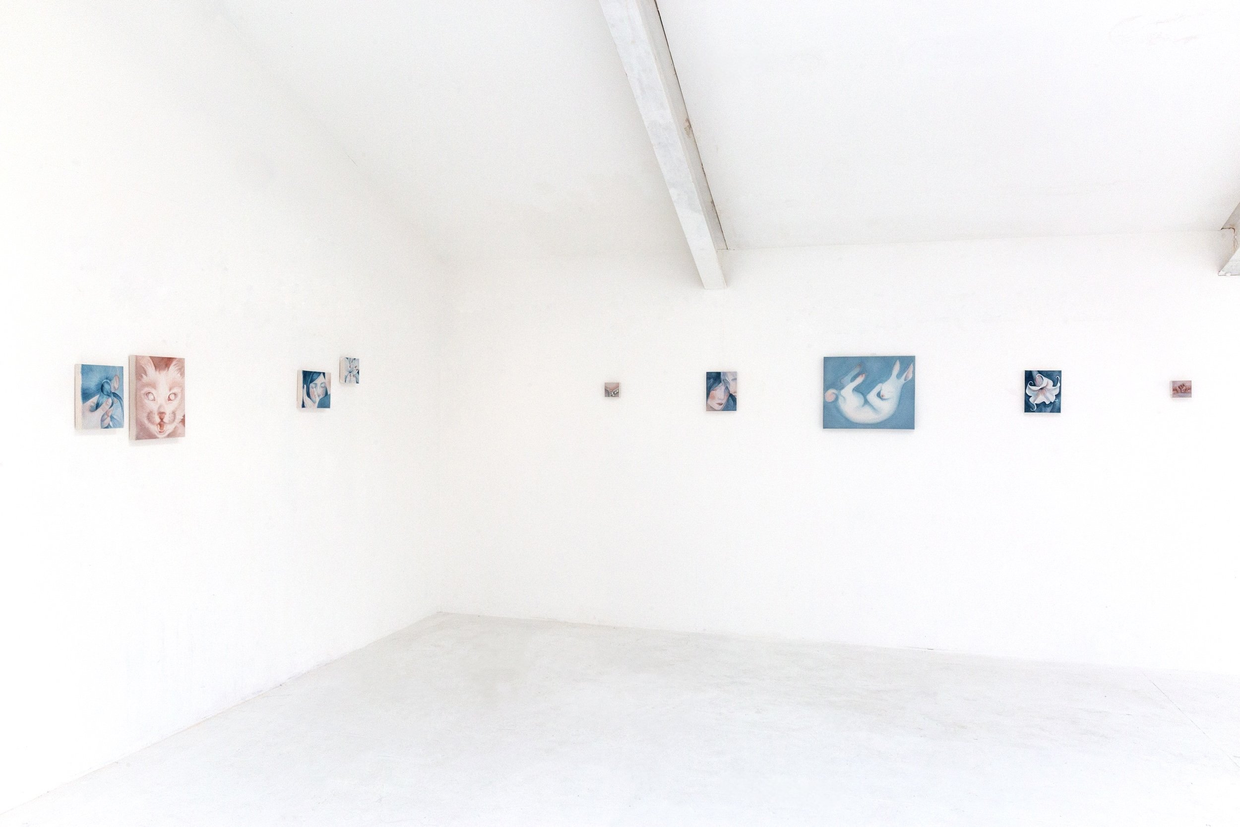 Gallery with paintings of animals and people displayed on a white wall in an art gallery