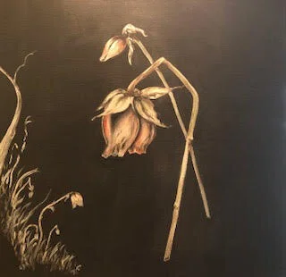 Dead roses.jpg