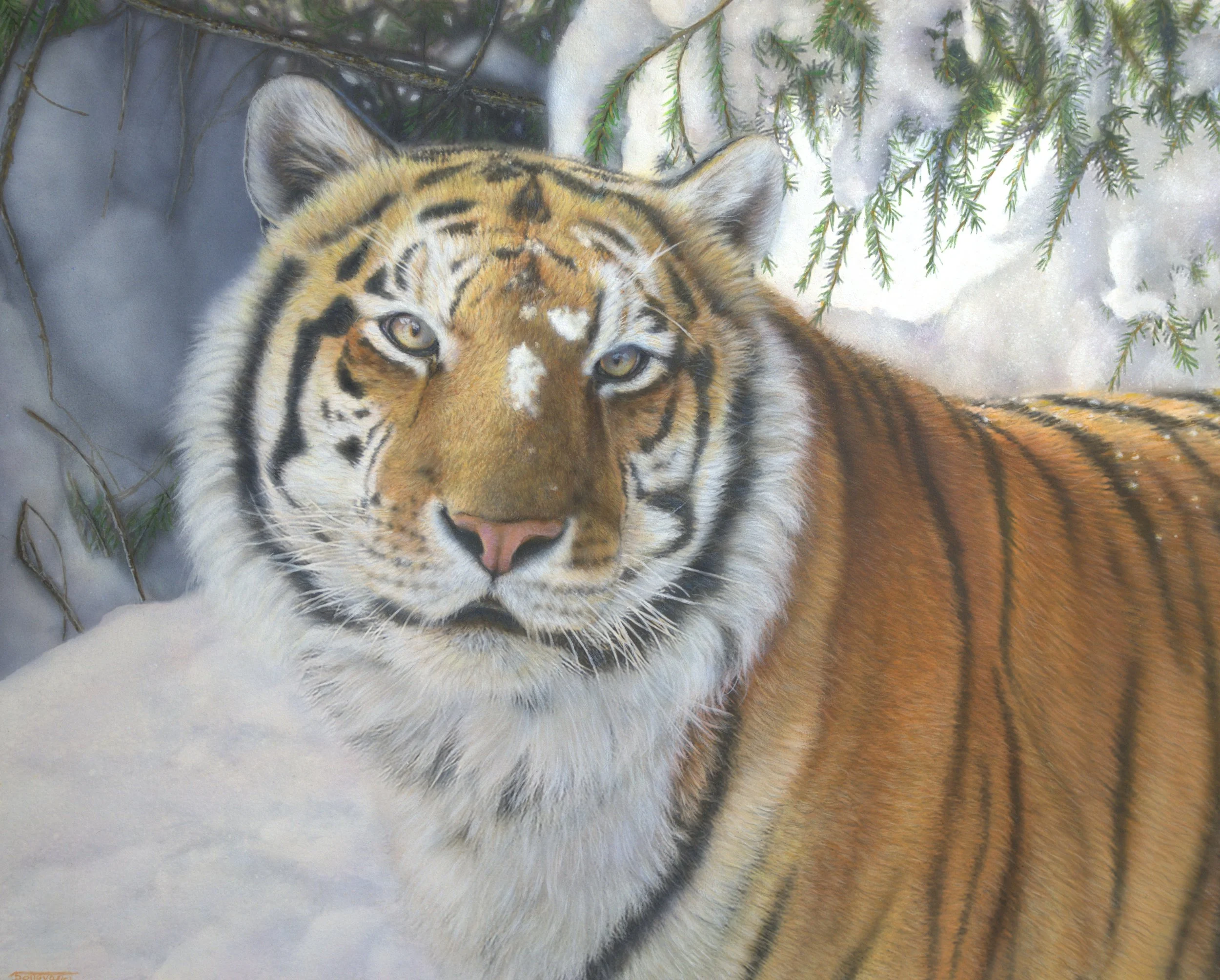 "Romeo" / 16x20 / Egg Tempera & Acrylic