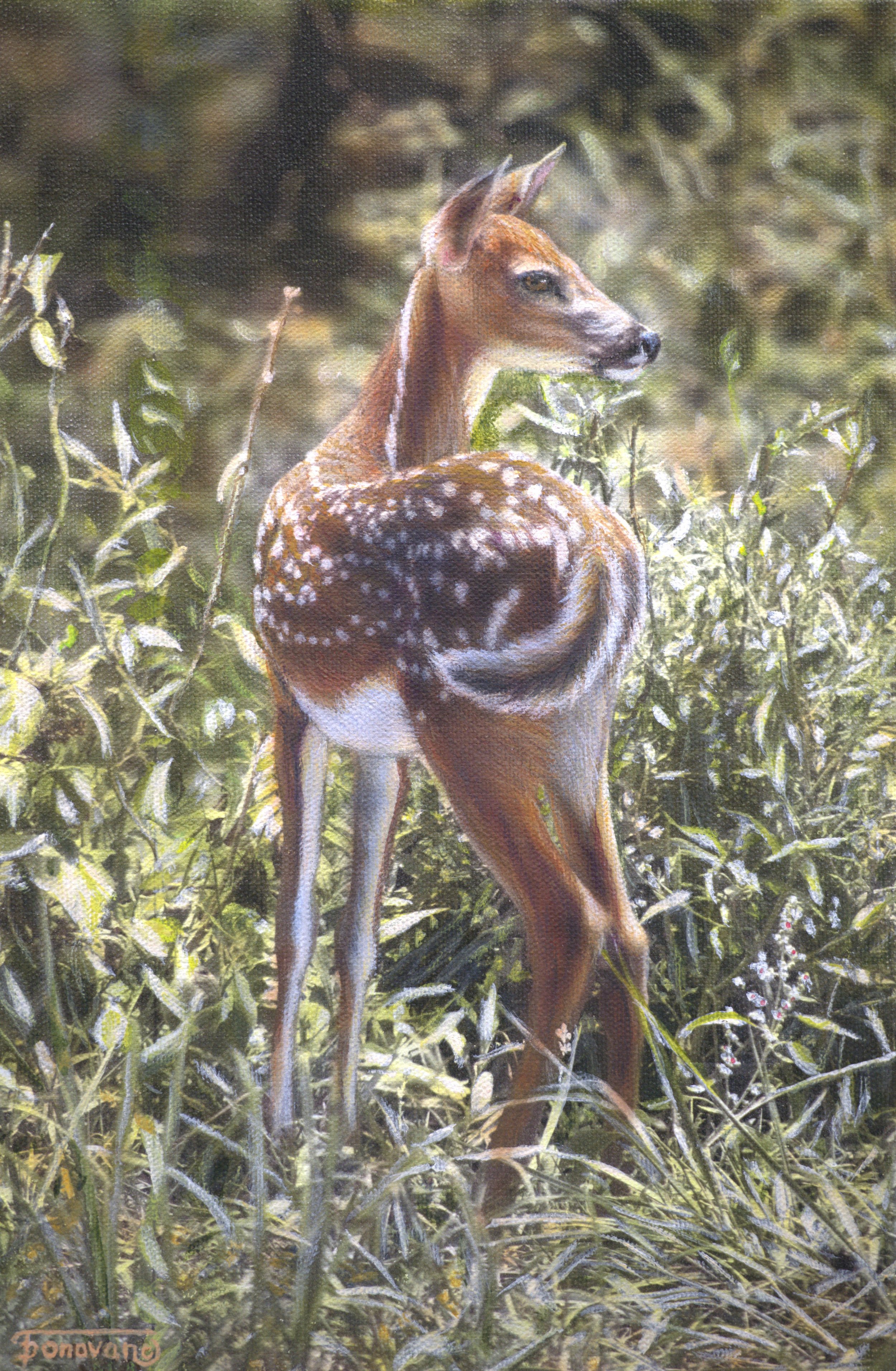 "Splendor In The Grass" / 8x12 / Egg Tempera