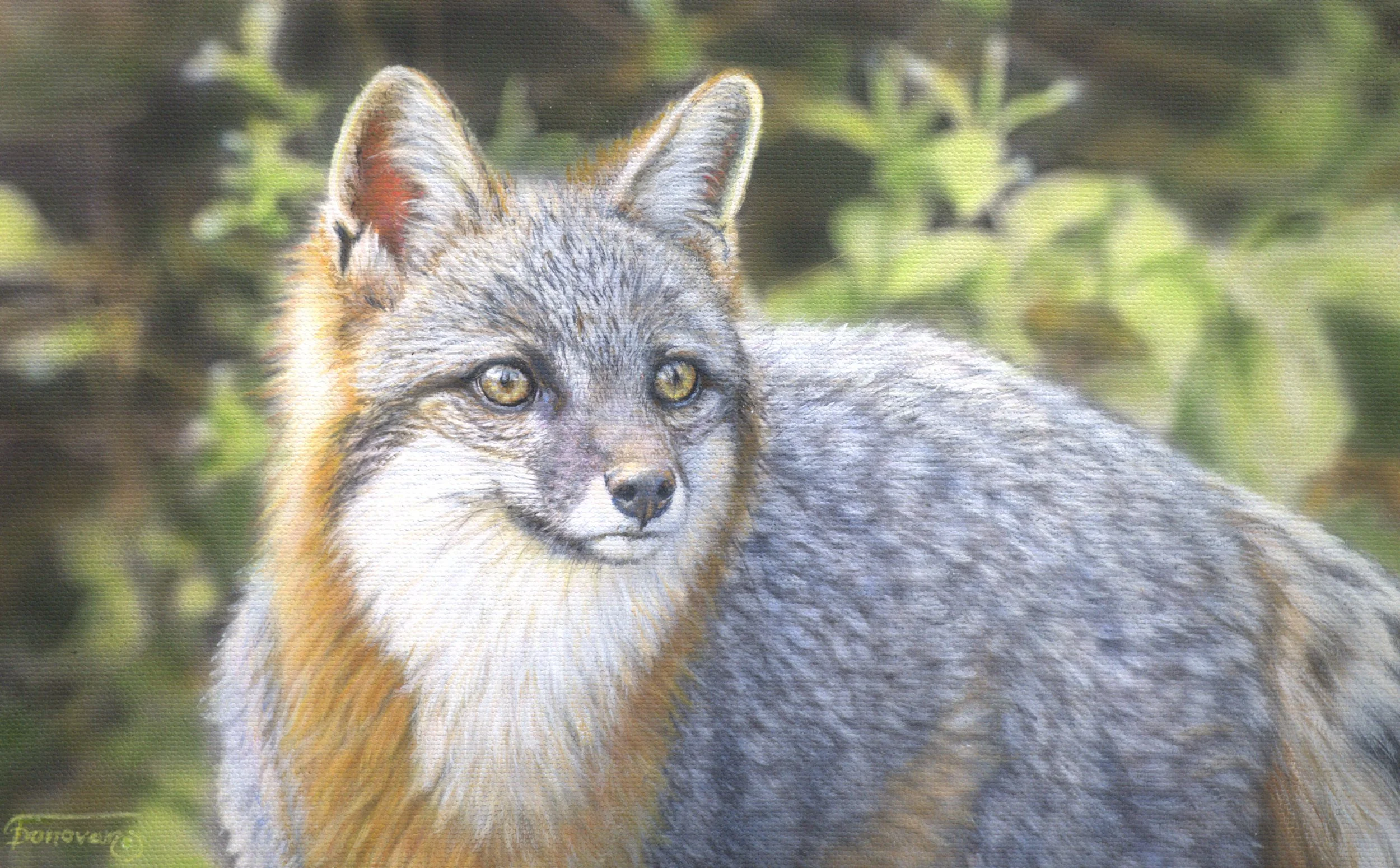 "Southern Grey" / 7x11 / Egg Tempera