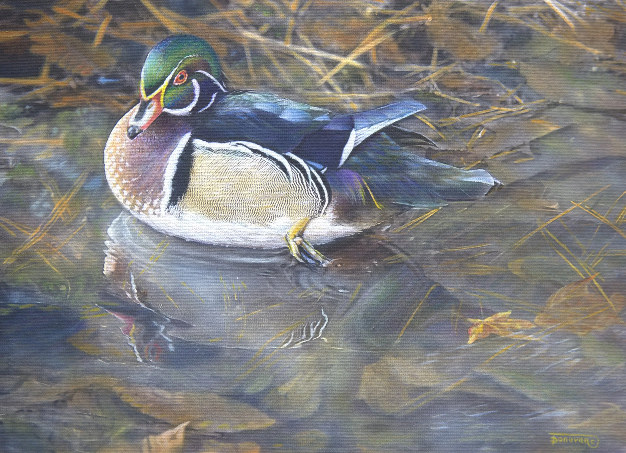 WoodDuck24.jpg