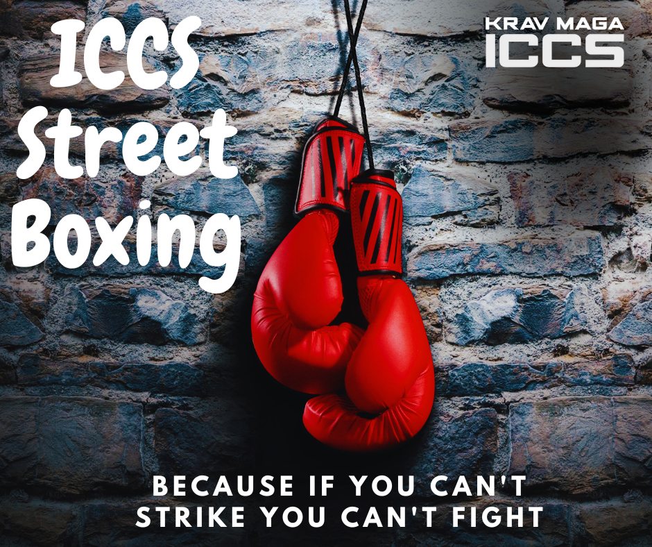 ICCS Training Camp