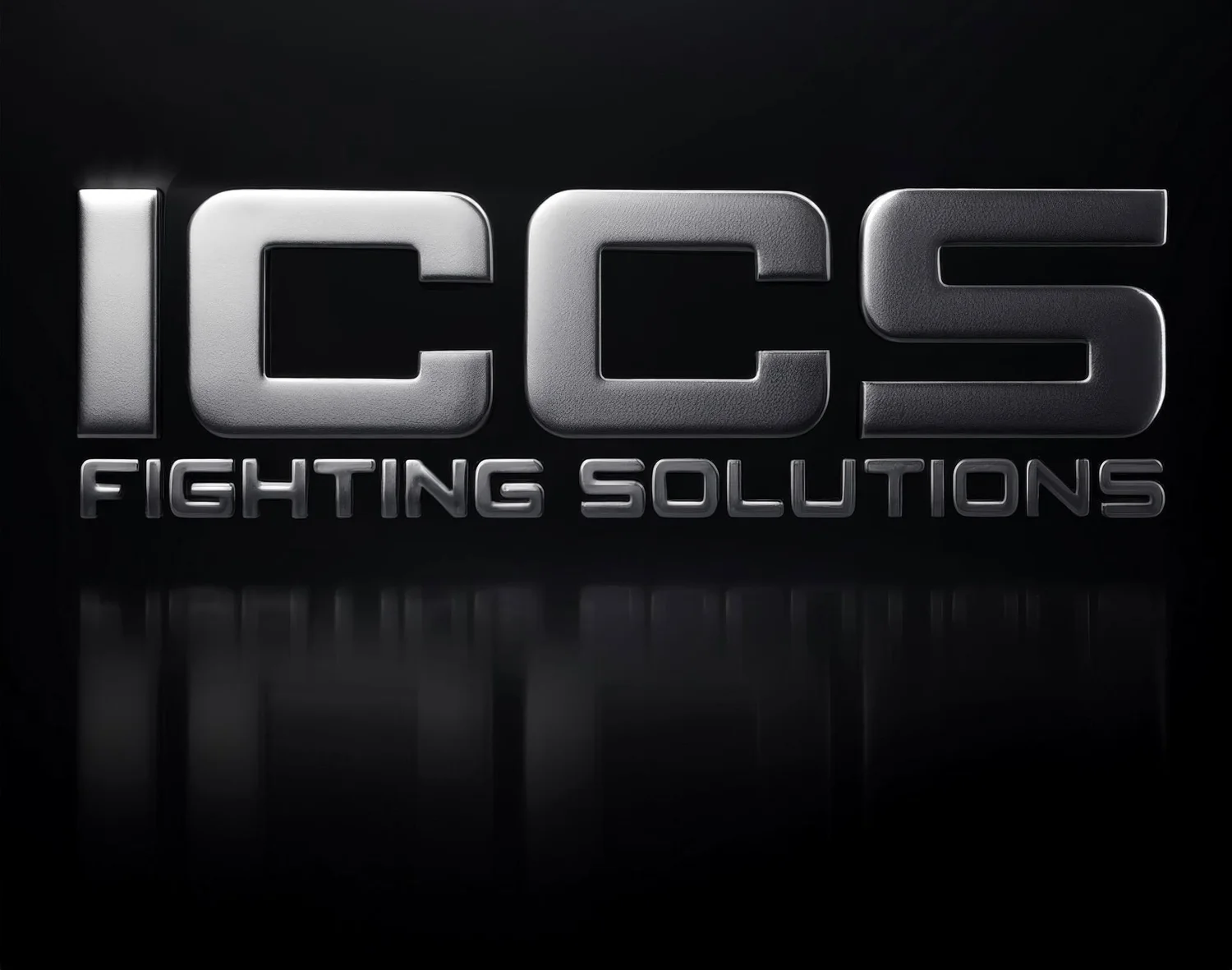 ICCS Fighting Solutions 
