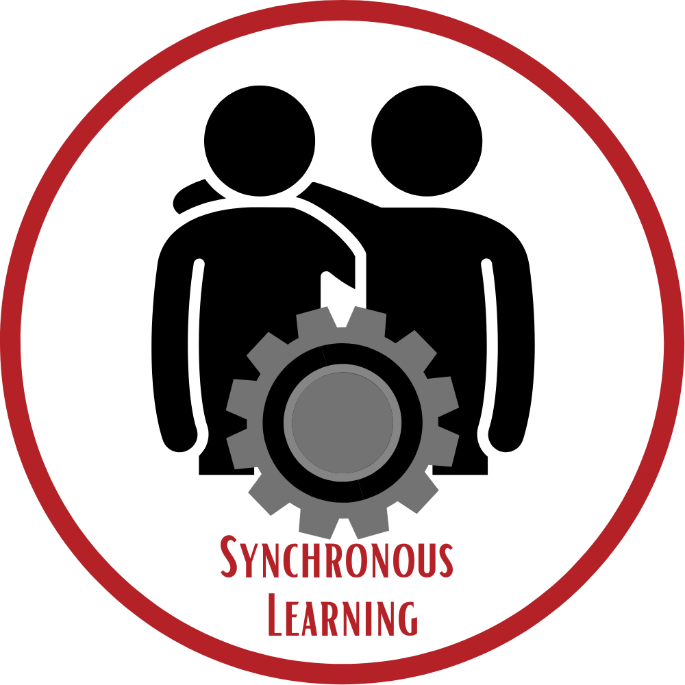 Synchronous Learning