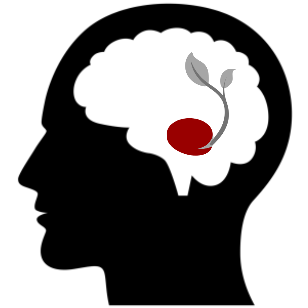 Growth Mindset